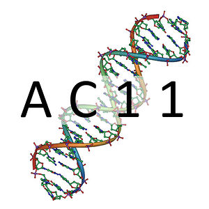 巡る酵素 AC11セット DNAジャパン-